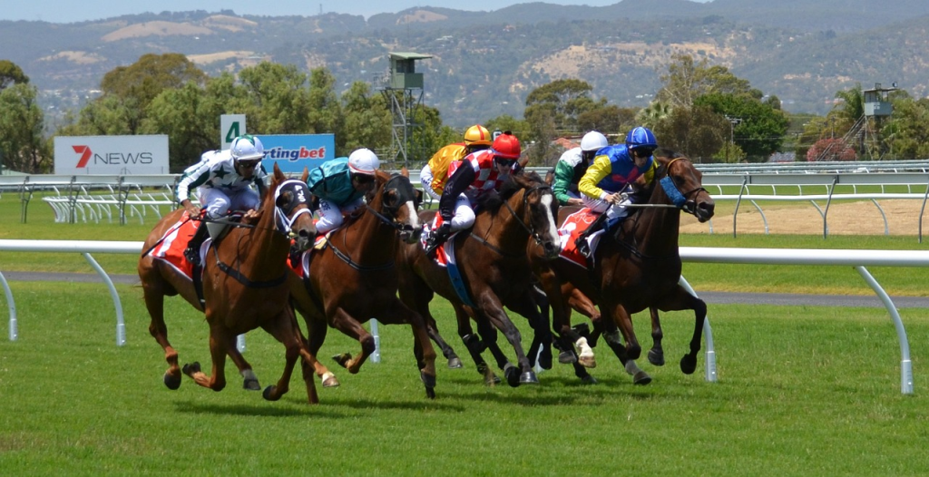 Horse Racing Betting odds