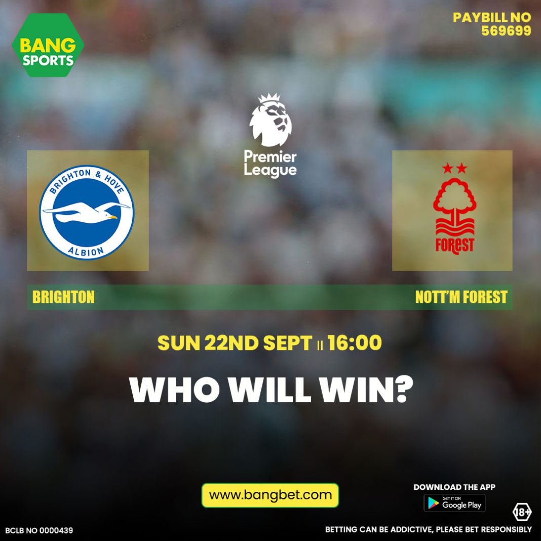 Brighton vs. Nottingham Forest: Can the Seagulls Make History?