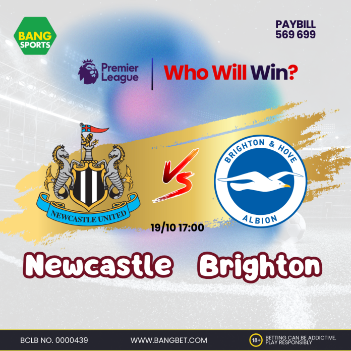 Newcastle vs Brighton