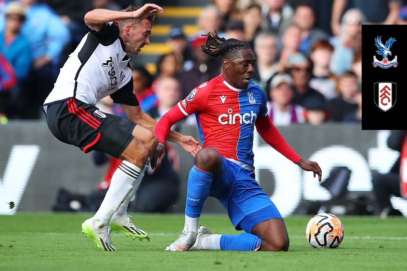 Fulham Shine in 2-0 Victory Over Crystal Palace