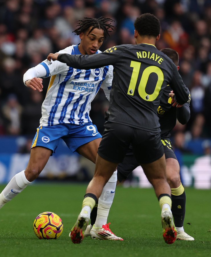 Brighton 0-1 Everton: Ndiaye's Penalty the Difference